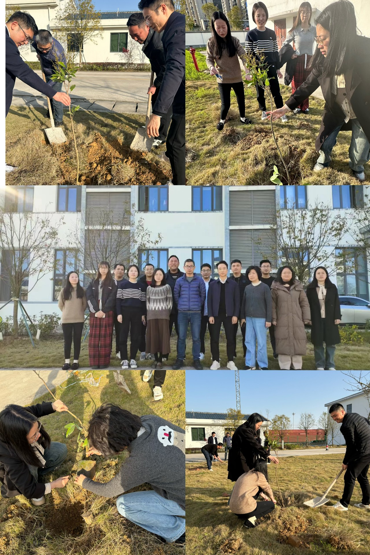 2024-3-12綠色陸港，美麗寧德，阮克妙拍攝.jpg